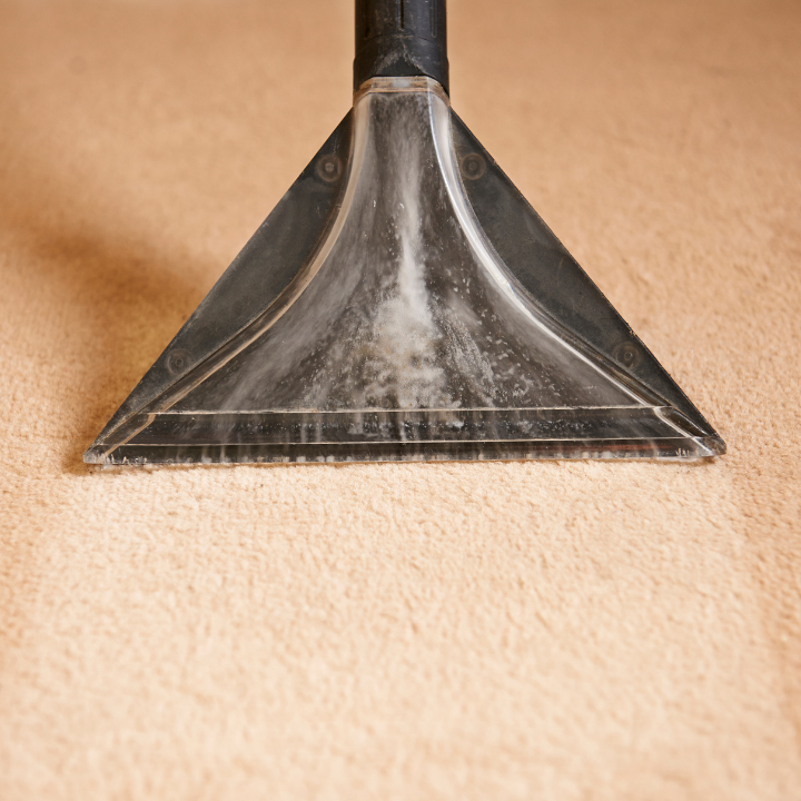 carpet steam cleaning services